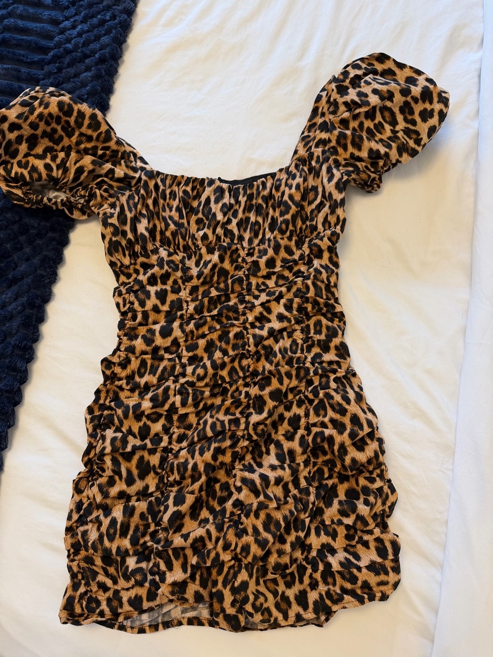 Zara Cheetah Print Mini Dress